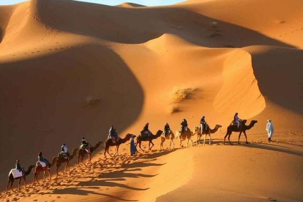 Camel trek in the Atlas Mountains and the sand dunes