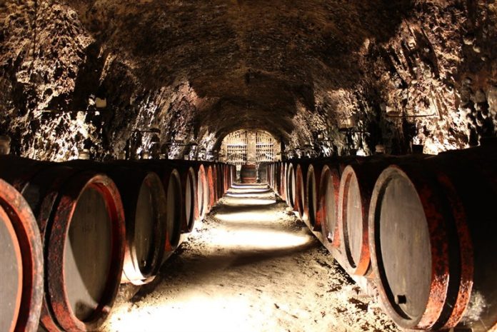 The Best Luxury Wineries to Visit in the World