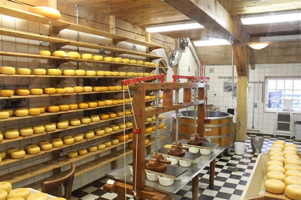 Menorca Cheese Factory