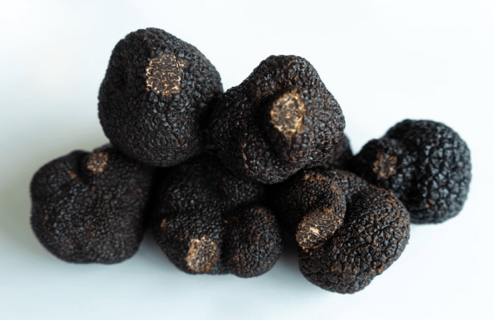 The World's Most Expensive Truffles